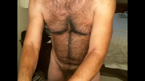 Hairy pecs online show from October 17, 9:06 pm