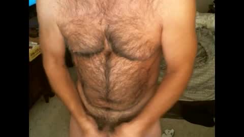 Snapshot of hairypecsguy chatting on November 7, 9:42 am Hairy pecs online show from November 7, 9:42 am