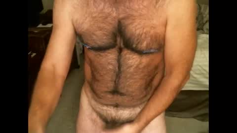 Snapshot of hairypecsguy chatting on November 20, 8:47 am Hairy pecs online show from November 20, 8:47 am