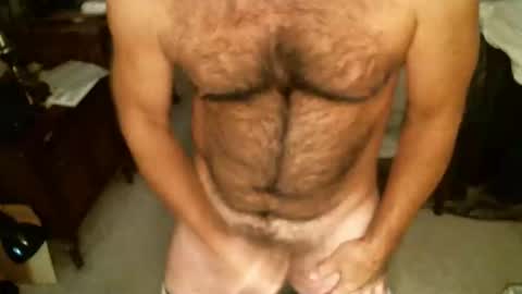 Snapshot of hairypecsguy chatting on November 24, 8:41 pm Hairy pecs online show from November 24, 8:41 pm
