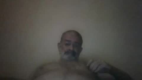 HairyPigSyd online show from March 1, 1:29 pm