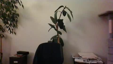 Snapshot of hairypussylover089 chatting on June 24, 4:11 am hairypussylover089 online show from June 24, 4:11 am