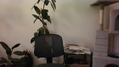 Snapshot of hairypussylover089 chatting on July 12, 4:36 am hairypussylover089 online show from July 12, 4:36 am