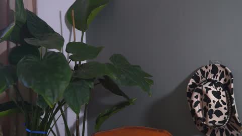 Snapshot of hairyrobxxx chatting on September 20, 10:05 am HairyRobXxX online show from September 20, 10:05 am