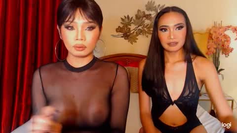 YOUR SIDECHIC HAILEY online show from February 16, 6:48 pm