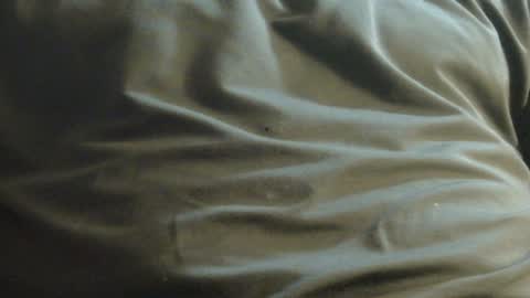 Snapshot of hamhead71 chatting on December 8, 10:03 pm hamhead71 online show from December 8, 10:03 pm