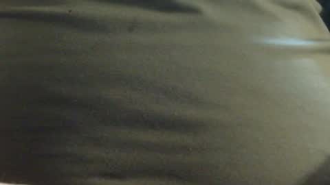 Snapshot of hamhead71 chatting on January 23, 12:52 pm hamhead71 online show from January 23, 12:52 pm