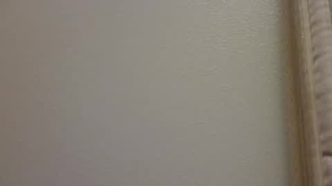 Snapshot of hamhead71 chatting on April 6, 3:48 am hamhead71 online show from April 6, 3:48 am