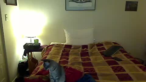 hammerthatthang73 online show from November 4, 8:57 am