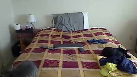 hammerthatthang73 online show from March 17, 5:05 pm