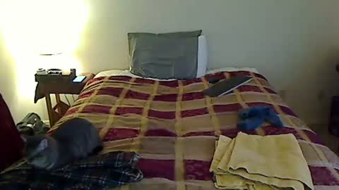 hammerthatthang73 online show from March 24, 11:10 pm