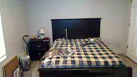 hammerthatthang73 online show from May 17, 11:28 am