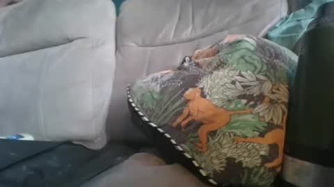 Snapshot of handncocknocum chatting on January 6, 8:51 am handncocknocum online show from January 6, 8:51 am