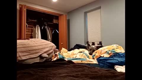 handsomedaddy198923 online show from October 20, 7:36 pm