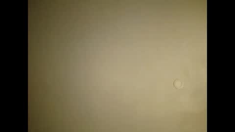 handsomedaddy198923 online show from December 14, 7:47 am