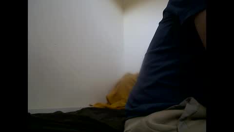 handsomepenis20cm online show from April 29, 4:22 pm