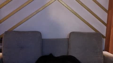 ANA online show from November 22, 12:04 pm