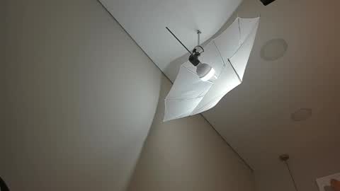 Hanna online show from April 1, 12:17 pm