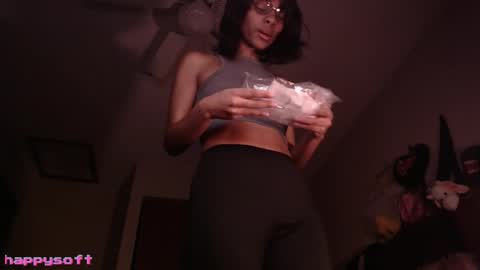 Snapshot of happysoft chatting on January 17, 2:44 pm meatwad online show from January 17, 2:44 pm