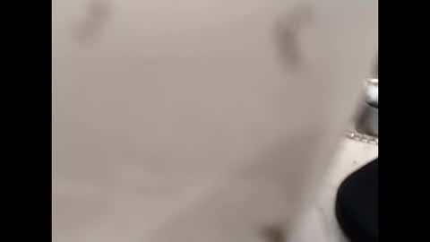 hardandhorny422 online show from October 12, 12:59 pm