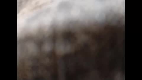 hardandhorny422 online show from November 11, 11:54 am