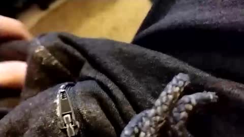 hardandhorny422 online show from February 5, 1:05 pm