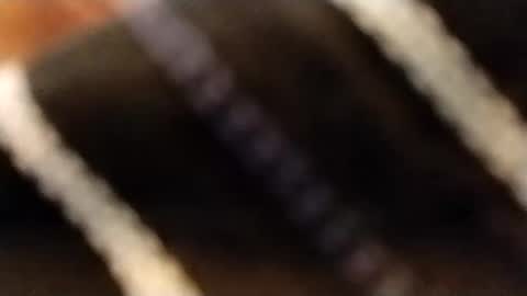 hardandhorny422 online show from February 12, 3:51 pm