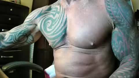 hardbody205a online show from February 1, 10:30 pm