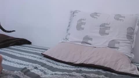 Harold Cruz online show from January 2, 11:38 pm