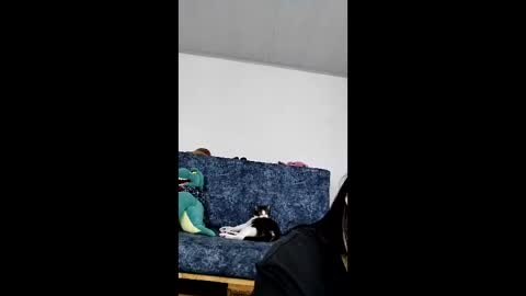 Harper online show from June 4, 5:02 am