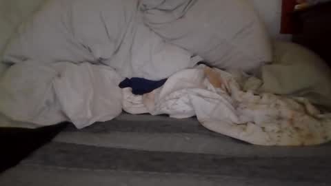 Snapshot of harry1cannary chatting on October 7, 8:22 am harry1cannary online show from October 7, 8:22 am