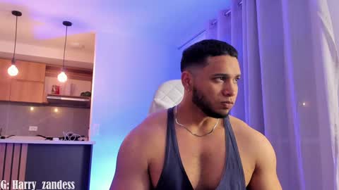 Snapshot of harry_zandess chatting on January 29, 6:12 am Harry Zandes online show from January 29, 6:12 am