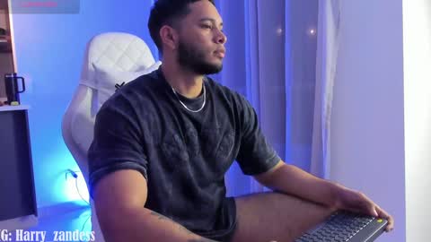 Snapshot of harry_zandess chatting on February 6, 4:21 am Harry Zandes online show from February 6, 4:21 am
