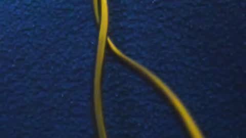 andres online show from March 5, 11:49 am
