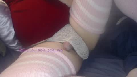 Snapshot of have_a_look_sea_wa chatting on December 19, 4:45 am have_a_look_sea_wa online show from December 19, 4:45 am