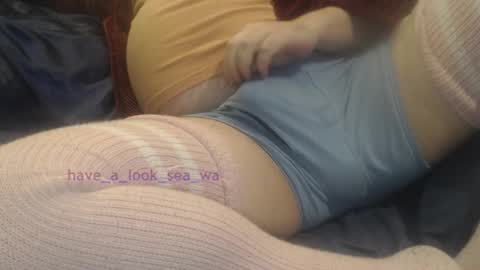 Snapshot of have_a_look_sea_wa chatting on December 14, 4:51 am have_a_look_sea_wa online show from December 14, 4:51 am