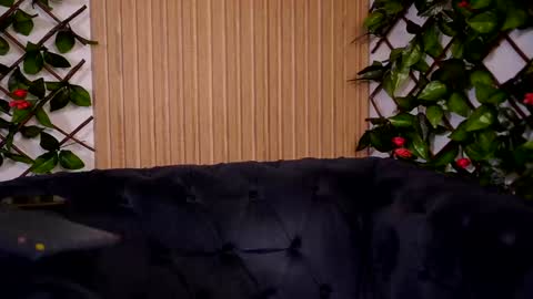 Snapshot of hayliemilf chatting on December 22, 2:38 pm Haylie online show from December 22, 2:38 pm