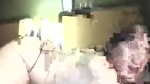 hazelbasil32728 online show from October 31, 11:39 pm