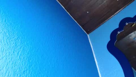 heidi_feuer online show from November 15, 12:30 am