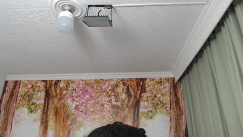 Snapshot of hellen_garcia chatting on December 19, 2:13 pm Hellen online show from December 19, 2:13 pm