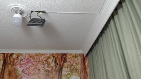 Snapshot of hellen_garcia chatting on January 23, 9:07 pm Hellen online show from January 23, 9:07 pm