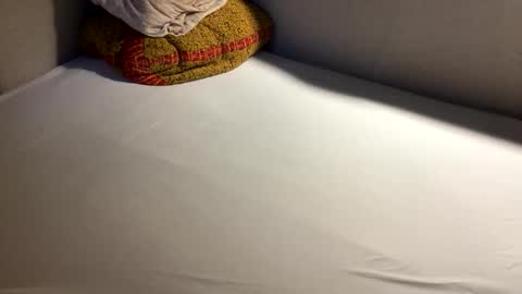 Snapshot of hello902 chatting on September 16, 1:23 pm David Whinston Smith online show from September 16, 1:23 pm