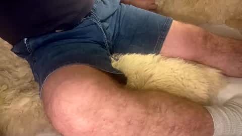 Snapshot of hello902 chatting on September 20, 7:20 am David Whinston Smith online show from September 20, 7:20 am