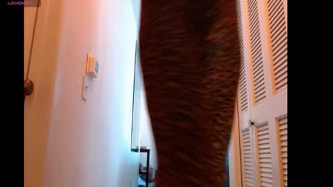 Snapshot of hevin69 chatting on February 15, 7:10 pm hevin69 online show from February 15, 7:10 pm