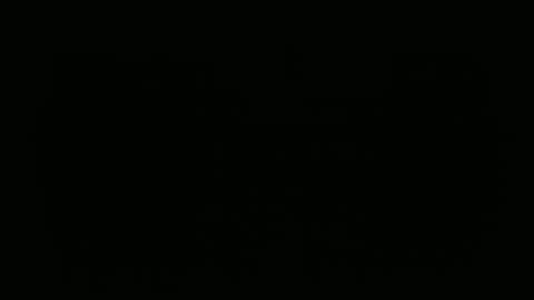 hofnung online show from February 22, 10:36 am