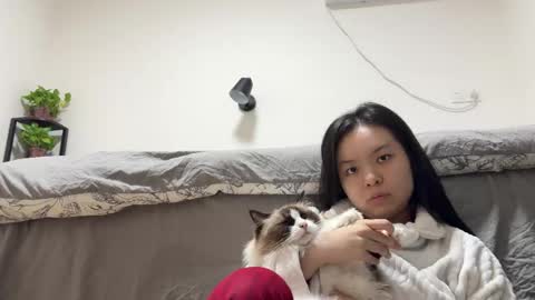 amy online show from November 29, 1:14 pm