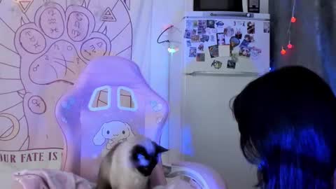 Snapshot of holy420loly chatting on January 18, 6:23 pm Ho Lee Sheet online show from January 18, 6:23 pm