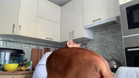 Snapshot of holydori chatting on February 10, 8:53 am dori not holy get my tg channel with link from description under last photo online show from February 10, 8:53 am