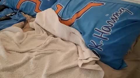 Snapshot of homer1976 chatting on March 6, 2:41 am Homer online show from March 6, 2:41 am