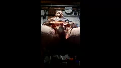 homer46567 online show from May 24, 1:49 pm